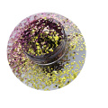 Chameleon Glitter for Nail Polish résistant aux solvants, changer de couleur, scintillant